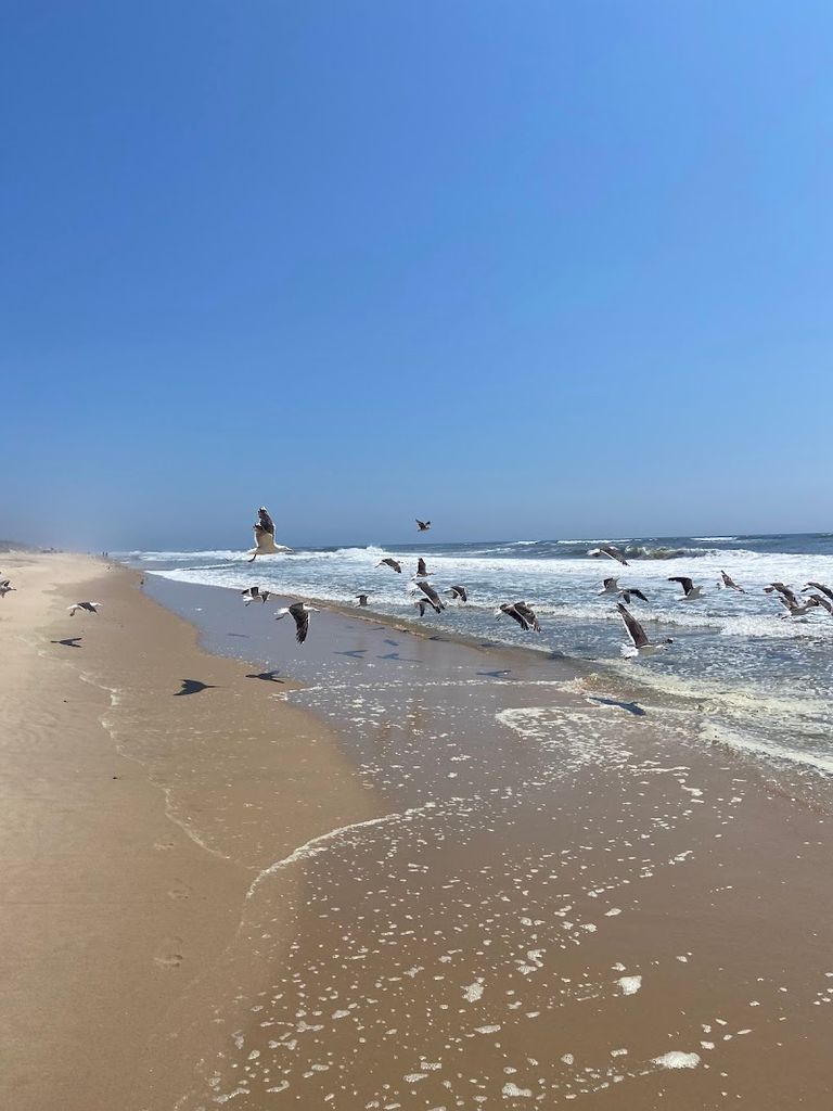 Hither Hills State Park — 4x4 Beach Access Road #1